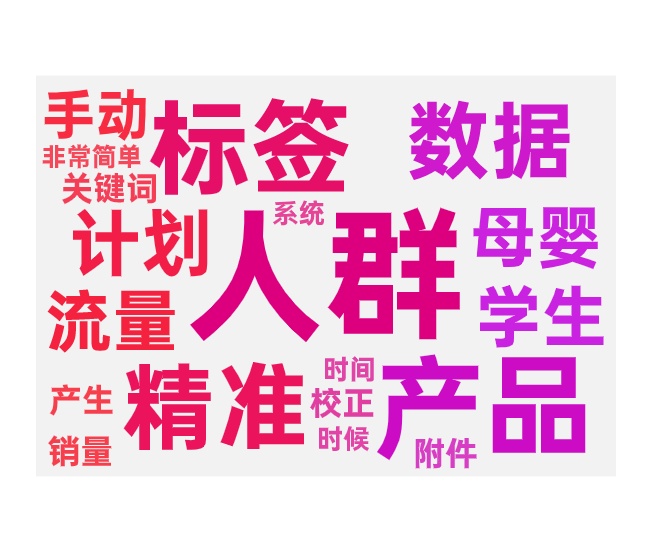 人群标签的扶正付费计划的推广