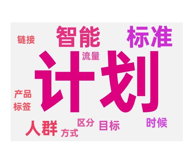 标准与智能计划同时投放的原因