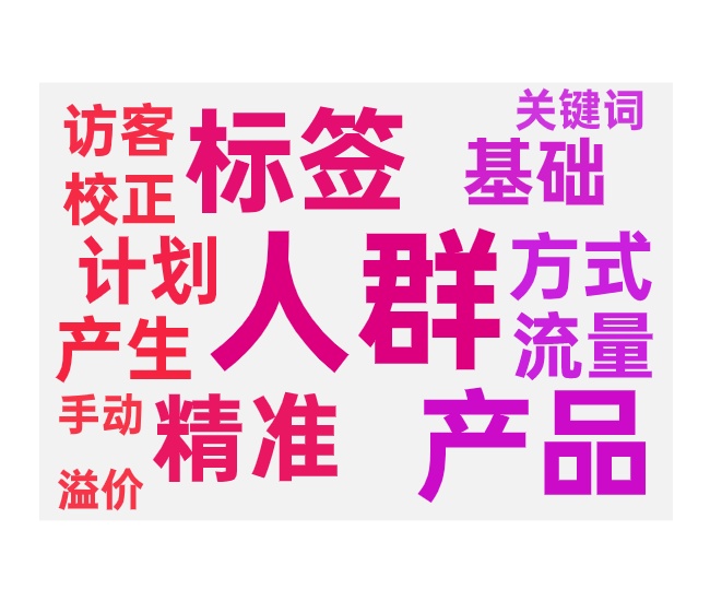 访客不精准如何扶正人群