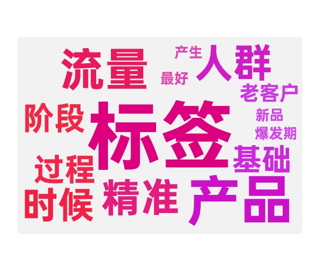 新品提升过程中人群标签的强化与扶正